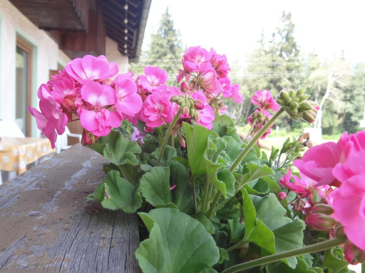 Beim Haxenwirt Hotel Immenstadt im Allgäu Værelse billede